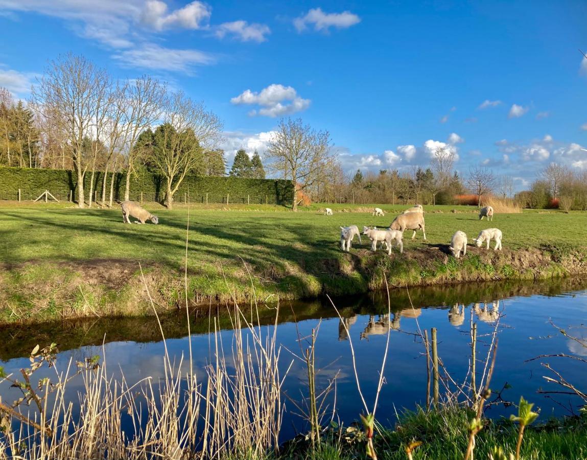 Lodges Near The Rhine - Sustainable Residence Hazerswoude-Rijndijk Exterior photo